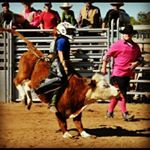 Profile Picture of Robert kerley (@brahmar_tamer_01) on Instagram