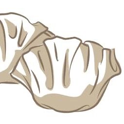 Profile Picture of Nicholas Wan (@nick.wanton) on Tiktok