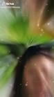 Profile Picture of   Santhosh Pathri... (@santhoshpathri) on Tiktok
