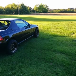 Profile Picture of Daniel McClellan (@danielmcclellan) on Instagram