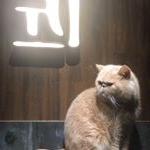 AllenGuo - Instagram Profile Picture of AllenGuo (@allenguo6041) on Instagram