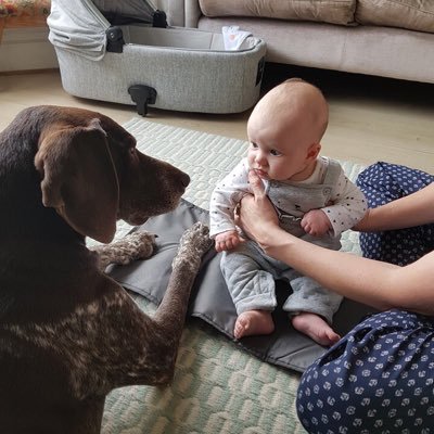 Profile Picture of Chris Jefferies (@yesdijefferies) on Twitter