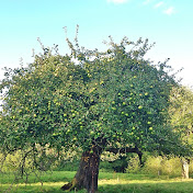 Profile Picture of Lucy Mayhew (@lucymayhew5227) on Youtube