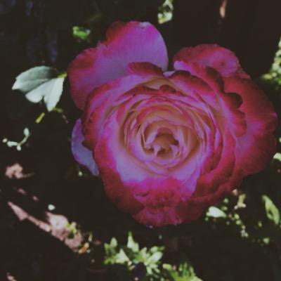 Brenna Wright - Twitter Profile Picture of Brenna Wright (@brennnawright) on Twitter