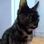 Profile Picture of Joaquin Ledesma (@joaquinledesma1837) on Youtube