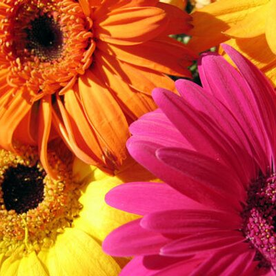 Profile Picture of Macie Walters (@maciemaciemarie) on Twitter