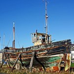 Profile Picture of Julian McCormick (@julianmccormick) on Instagram