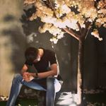 Profile Picture of Peter Liang (@peterliang_0116) on Instagram