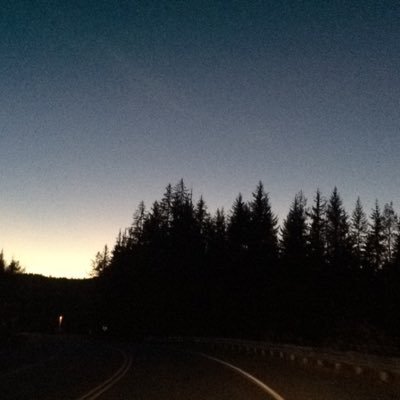 Profile Picture of Bob (@taylor_josette) on Twitter