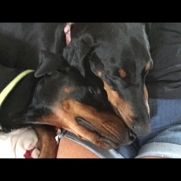 Profile Picture of Lori Stolee (@lstolee) on Poshmark