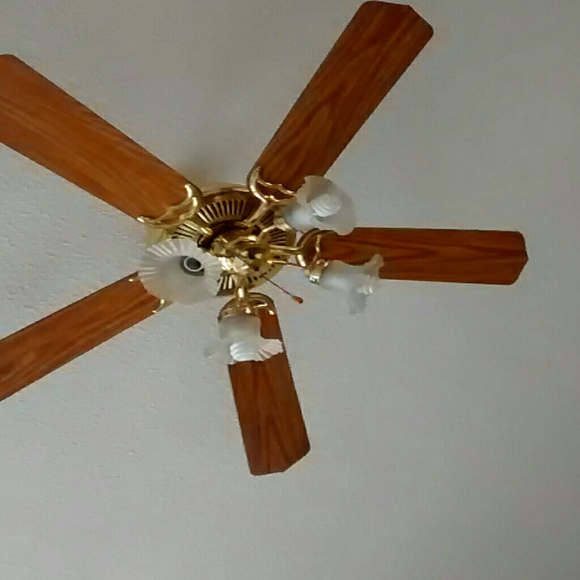 Profile Picture of Leila Alamos (@la53452) on Poshmark