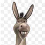 Profile Picture of Matthew Malone (@matthew__malone) on Instagram