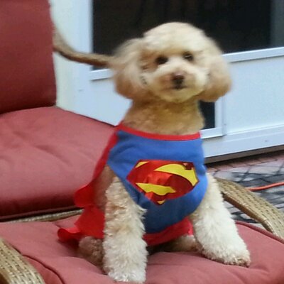 Profile Picture of Michael O (@michaelogata88) on Twitter