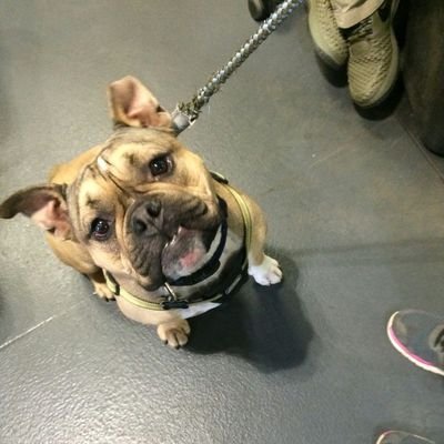 🍻Jenny Lou Who🍻 - Twitter Profile Picture of 🍻Jenny Lou Who🍻 (@jennifercassada) on Twitter