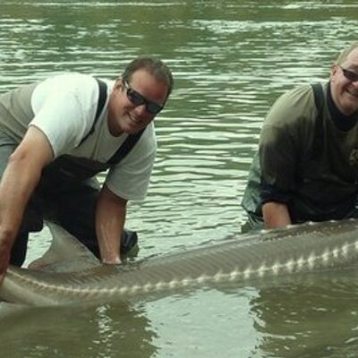 Profile Picture of Andy Hazeldine (@andyphazeldine) on Twitter