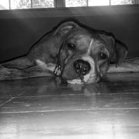 Profile Picture of Kyle Dorr (@kyle-dorr-8) on Quora