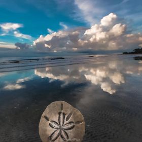 Kelly Curtis - Pinterest Profile Picture of Kelly Curtis (@kelly6652) on Pinterest