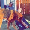 Profile Picture of Brian Swan (@@bswan1872) on Tiktok