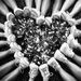 Profile Picture of Alyssa Fontanetta (@alyssafontanett) on Pinterest