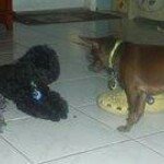 Profile Picture of Ginger Hand (@ginstonic_) on Instagram