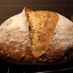 Profile Picture of David Majchrzak (@breadero) on Instagram