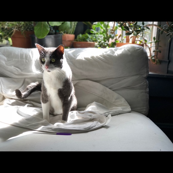 Profile Picture of Tim Galusky (@timbo2183) on Poshmark