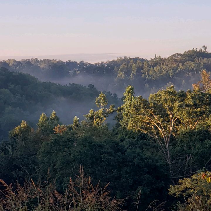 Profile Picture of Thomas Gallion (@thomasgallion) on Tiktok