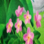 Profile Picture of SANJAY BHAT (@sanjaybhat845) on Youtube