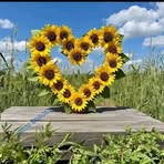 Profile Picture of Rasheed Malik (@Rasheed-Malik) on Facebook