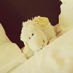 Profile Picture of Paul das Schaaf (@paul_das_schaaf) on Instagram