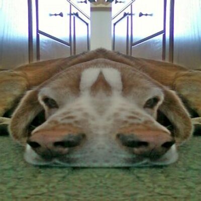 Profile Picture of Chris Tyus (@mamaslilbaby) on Twitter