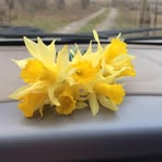 Profile Picture of Kathryn Willingham Sorrells (@kathryn.w.sorrells) on Facebook