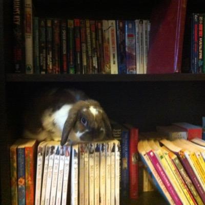 Profile Picture of Jody Conner (@JodyConner15) on Twitter