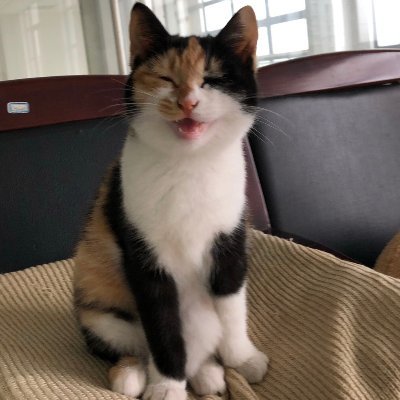 Profile Picture of Michael Gilday (@MichaelGilday9) on Twitter