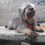 Profile Picture of Matthew Guadalupe (@matthewguadalupe) on Instagram