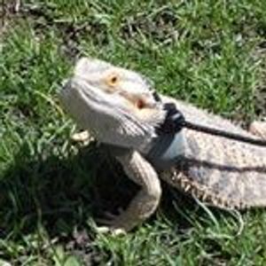 Sandy Burke - Myspace Profile Picture of Sandy Burke (@sandylovesdomino) on Myspace