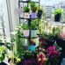 Profile Picture of Sandra Unger (@sandra.unger.12935) on Facebook