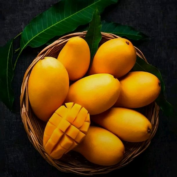 Profile Picture of lori (@loriaude) on Tiktok