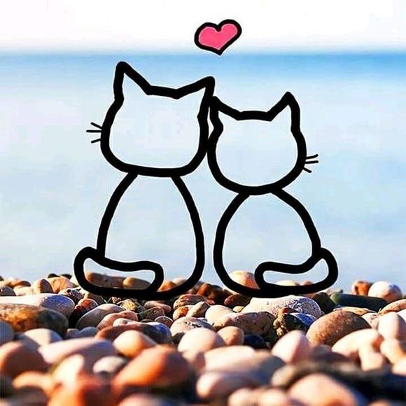 Profile Picture of Norshan Norshan (@fallahafatima2) on Poshmark