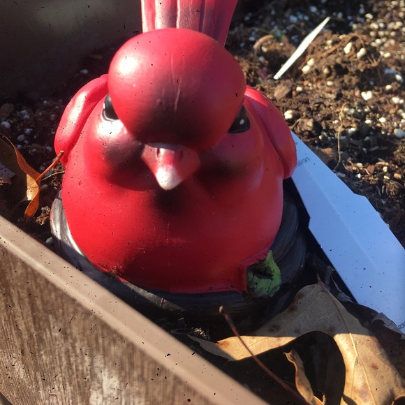 Miranda Scarpone - Poshmark Profile Picture of Miranda Scarpone (@mkscarpone) on Poshmark