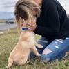 Profile Picture of Danielle Tubbs (@@danielletubbs) on Tiktok