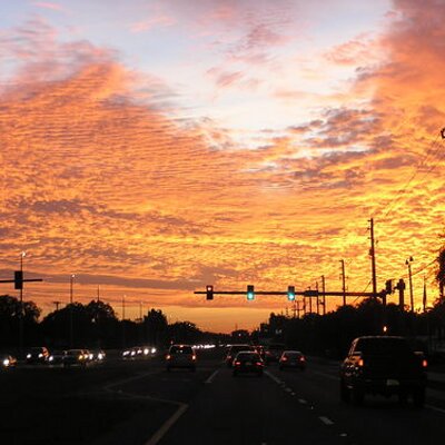 Profile Picture of Mark Schuetz (@MarkCSchuetz) on Twitter