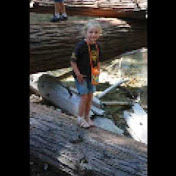 Profile Picture of Richard Oberg (@richardoberg9508) on Youtube