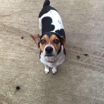 Profile Picture of Turn Up Green (@Erin_Kevin) on Twitter