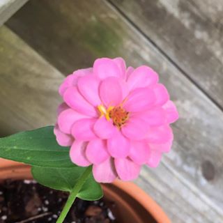 Ellen Harry - Facebook Profile Picture of Ellen Harry (@ellen.harry.9) on Facebook