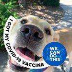 Profile Picture of Mary Ellithorpe (@maryspoozey) on Instagram