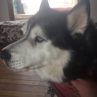 Profile Picture of Paige Ritter (@ritter.paige) on Instagram