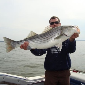 Profile Picture of Kevin Stoltzfus (@knockinkev) on Myspace