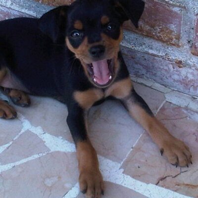 Profile Picture of Enith Ortiz Gonzalez (@luenorgo) on Twitter