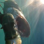 Profile Picture of Daniel Altmann (@spydro_switzerland) on Instagram